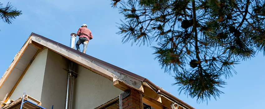 Birds Removal Contractors from Chimney in Menasha, WI